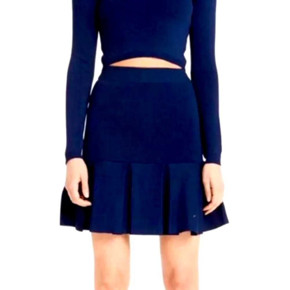 Torn by Ronny Kobo blue knit flare skirt Size